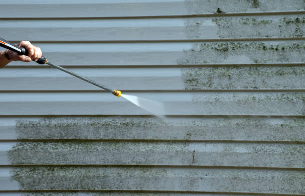 Professional Mold Removal in Canadian, TX